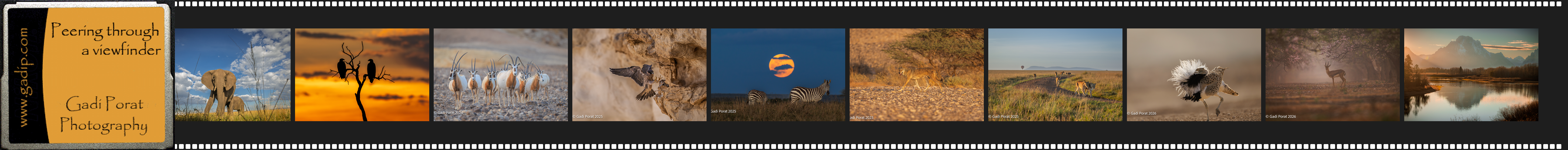 Gadi Porat Photography